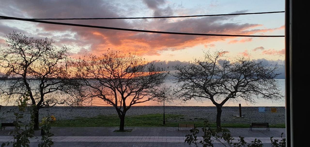 Nafpaktos Beach House Sea View Apartment First Floor Ngoại thất bức ảnh